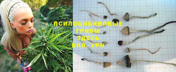 соль курить ск Беломорск